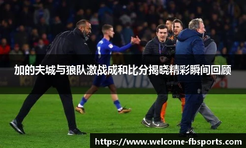 加的夫城与狼队激战成和比分揭晓精彩瞬间回顾
